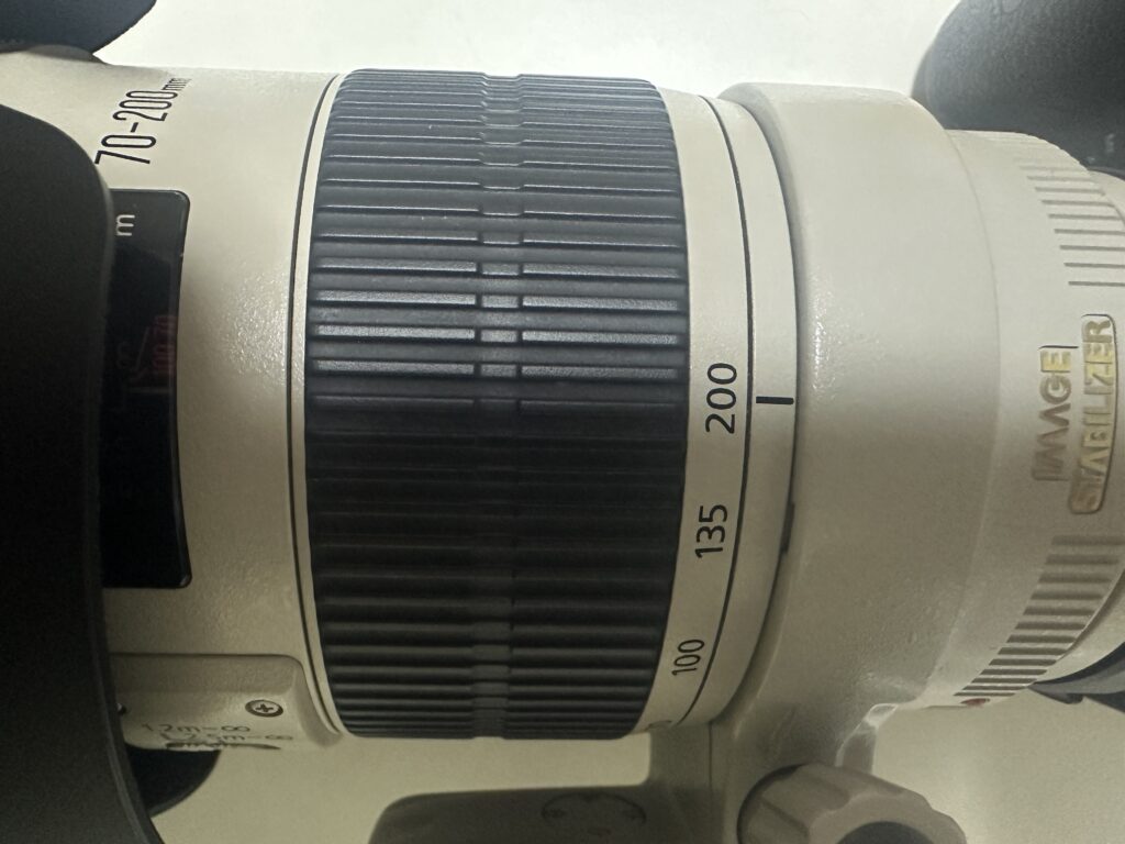 캐논r7에 새아빠 백통을 장착한 모습